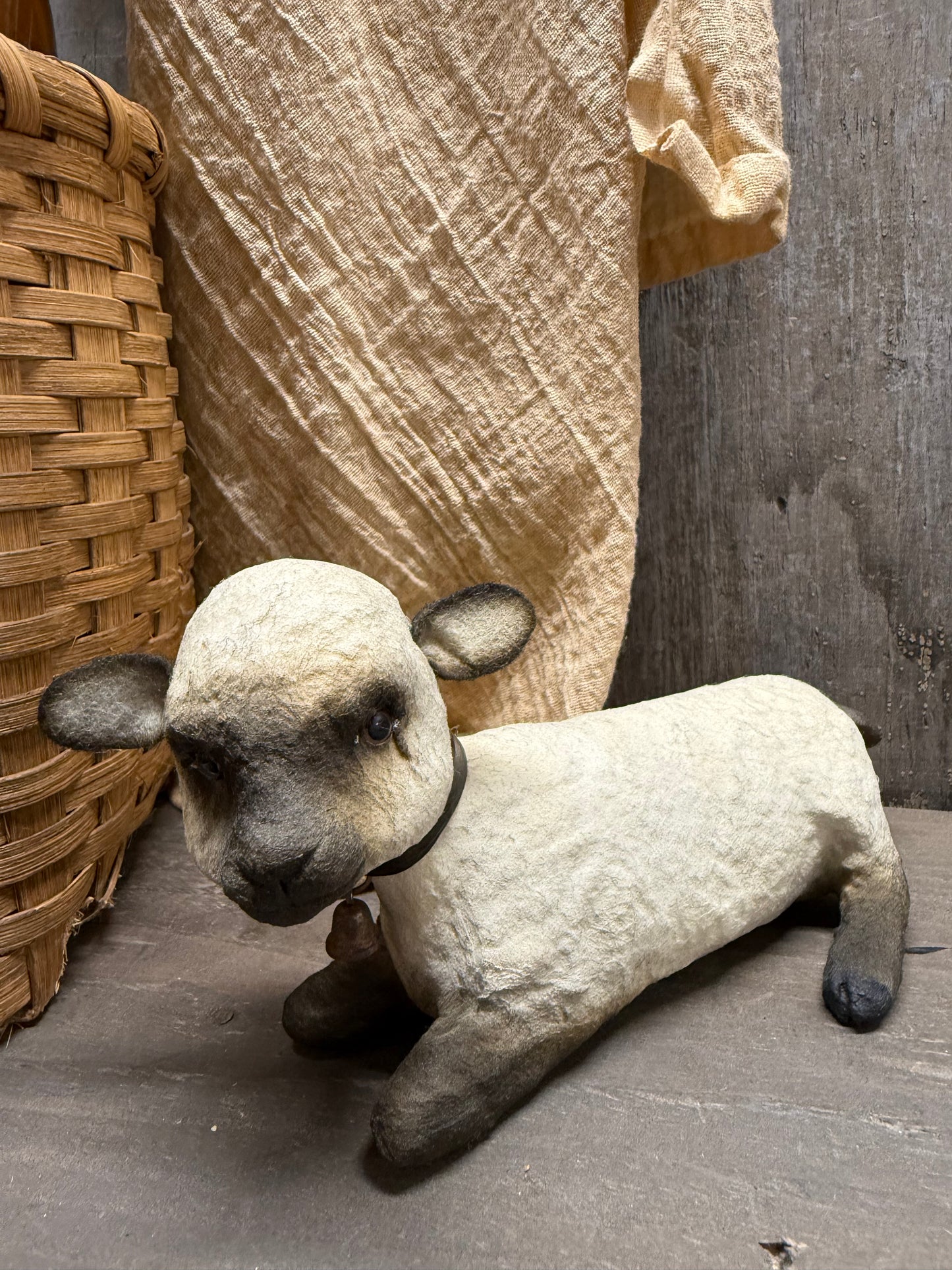 LAMB, Laying