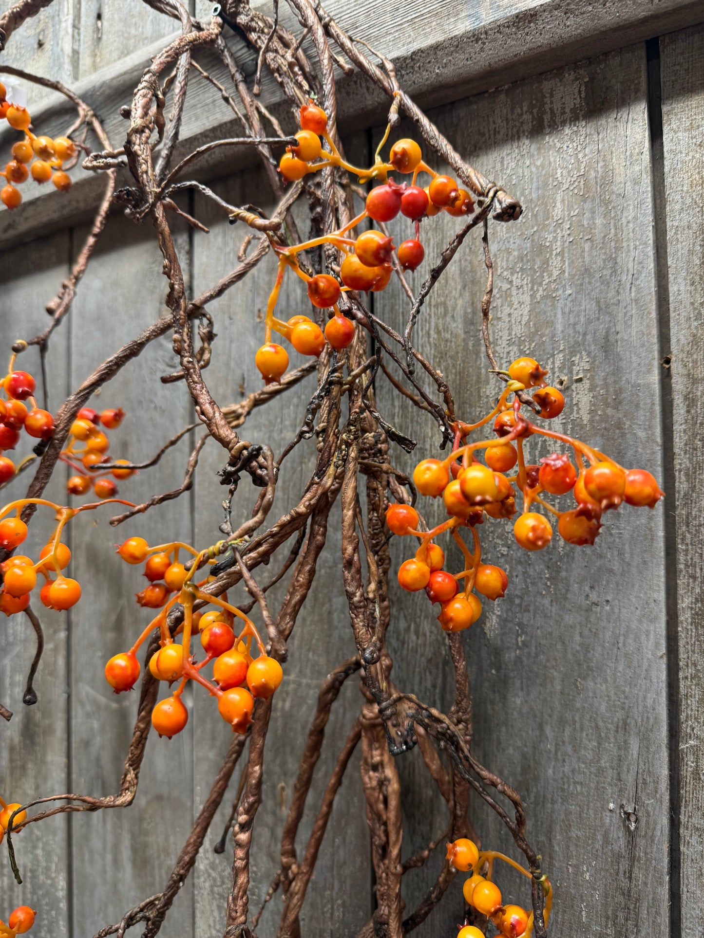 Vine, 54", BITTERSWEET