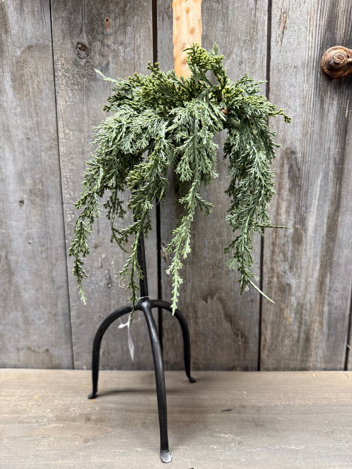 Mini Candle Ring, 1.5", DARK GREEN JUNIPER