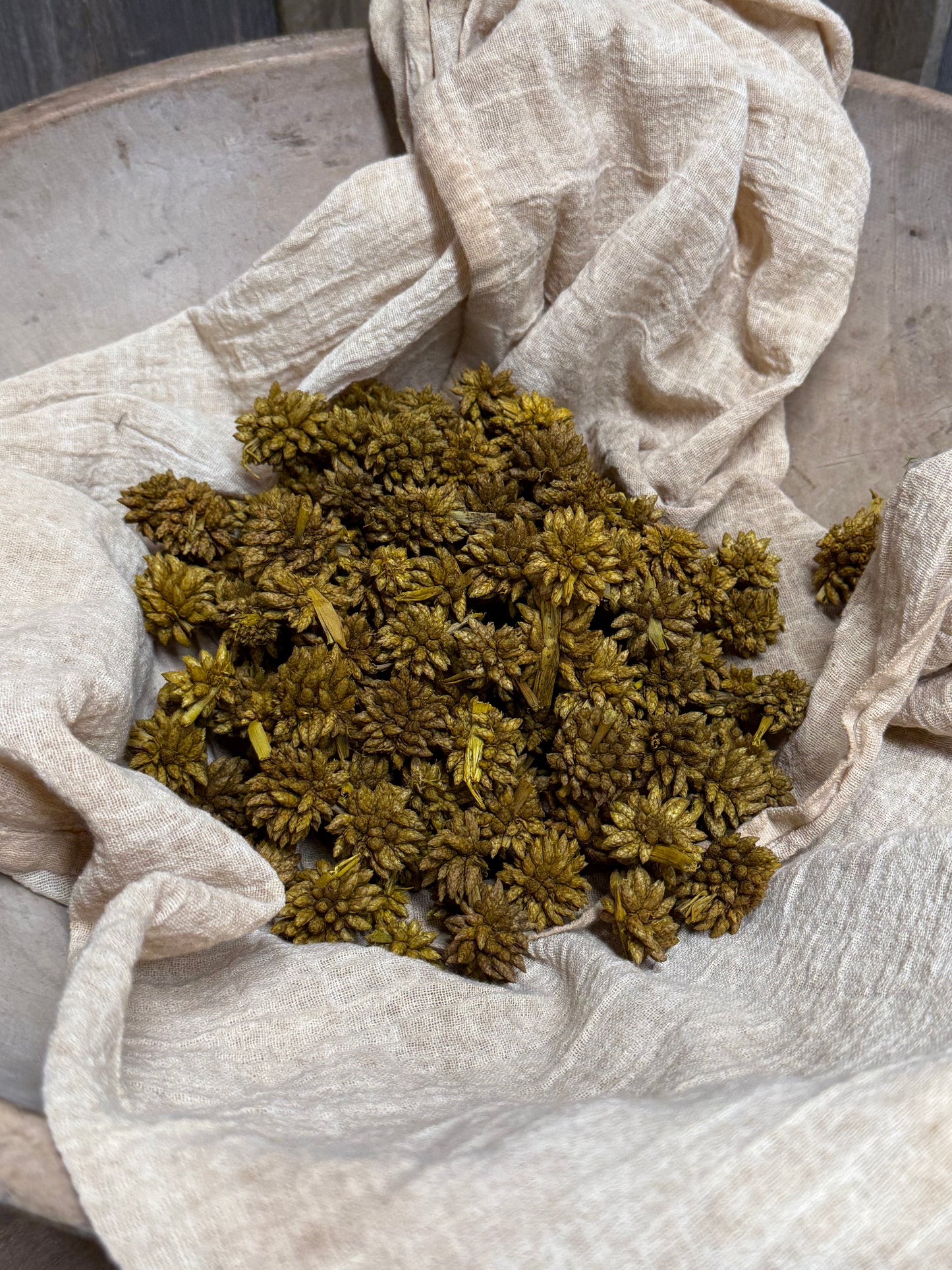 STAR FLOWER, 4 Ounce, Assorted