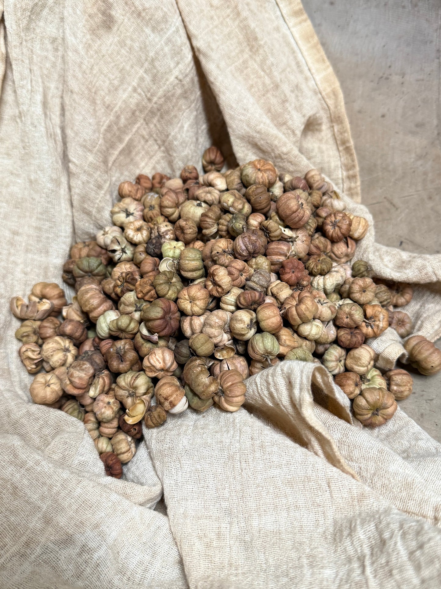Putka Pods, NATURAL, 4.5 Ounce