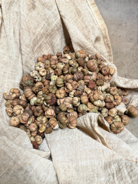 Putka Pods, NATURAL, 4.5 Ounce