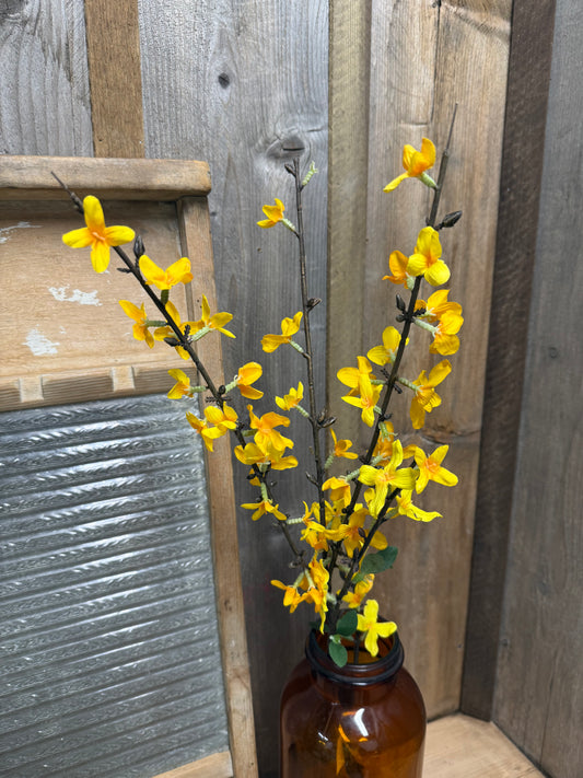 Spray, 24", FORSYTHIA