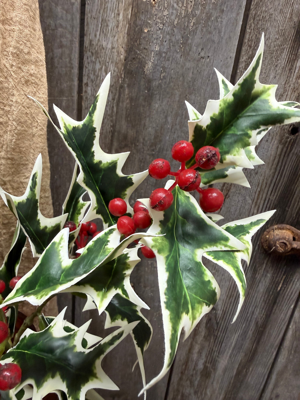 Spray, 21", HOLLY BERRY