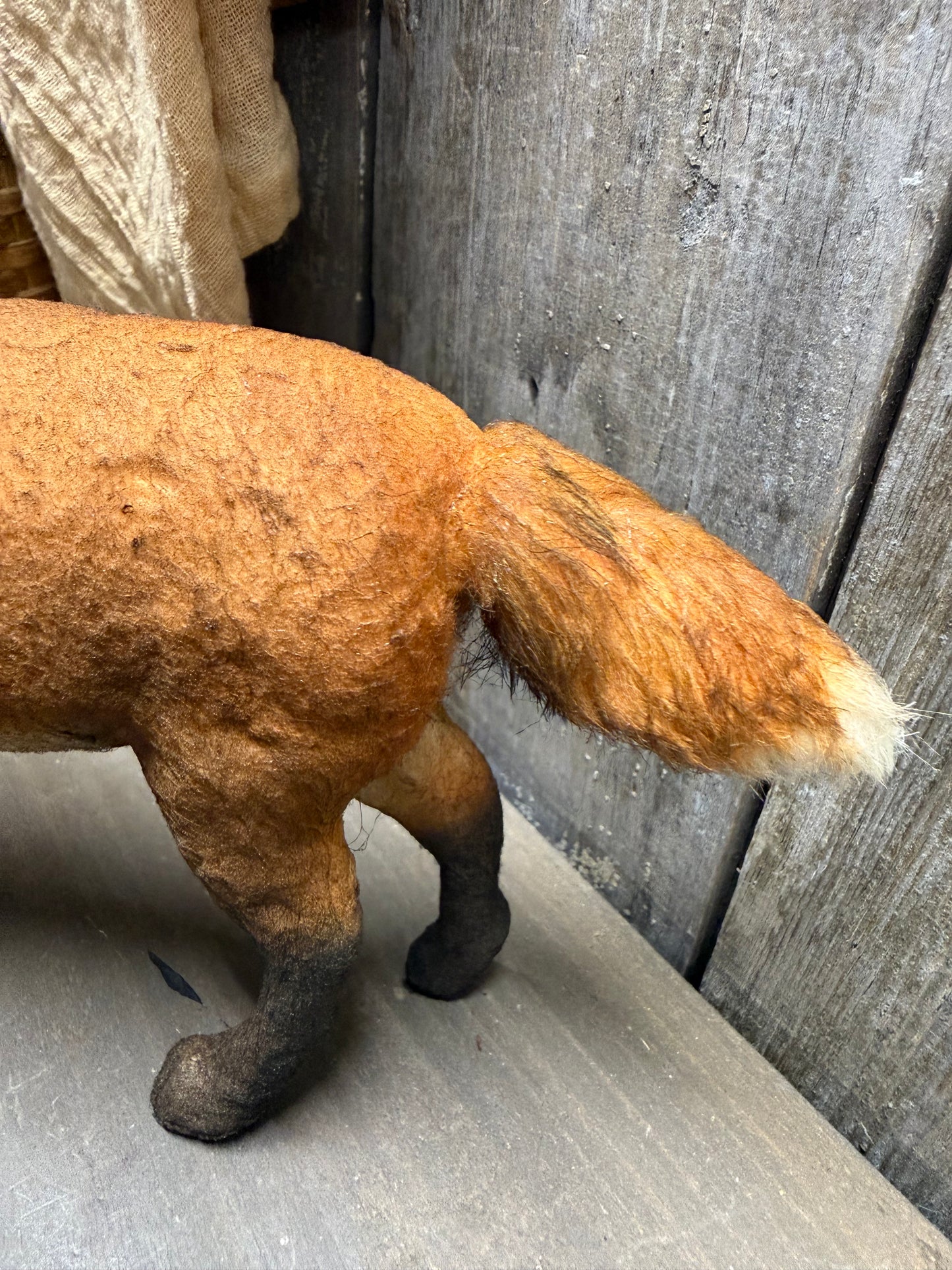 PIPPY FOX, Walking