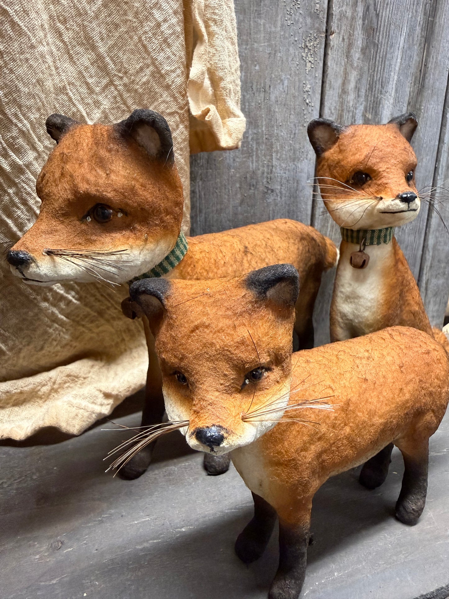 PIPPY FOX, Sitting