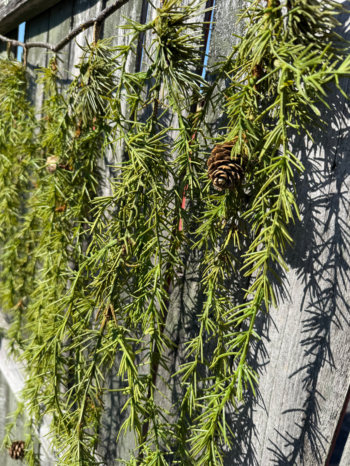 Mantle Garland, 62", MOUNTAIN PINE ICICLE