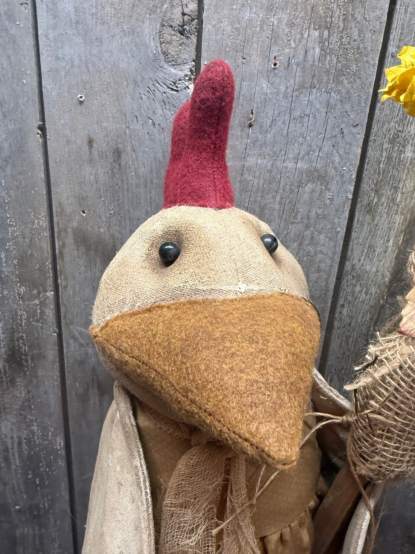 Chicken, 25", DAPHNE