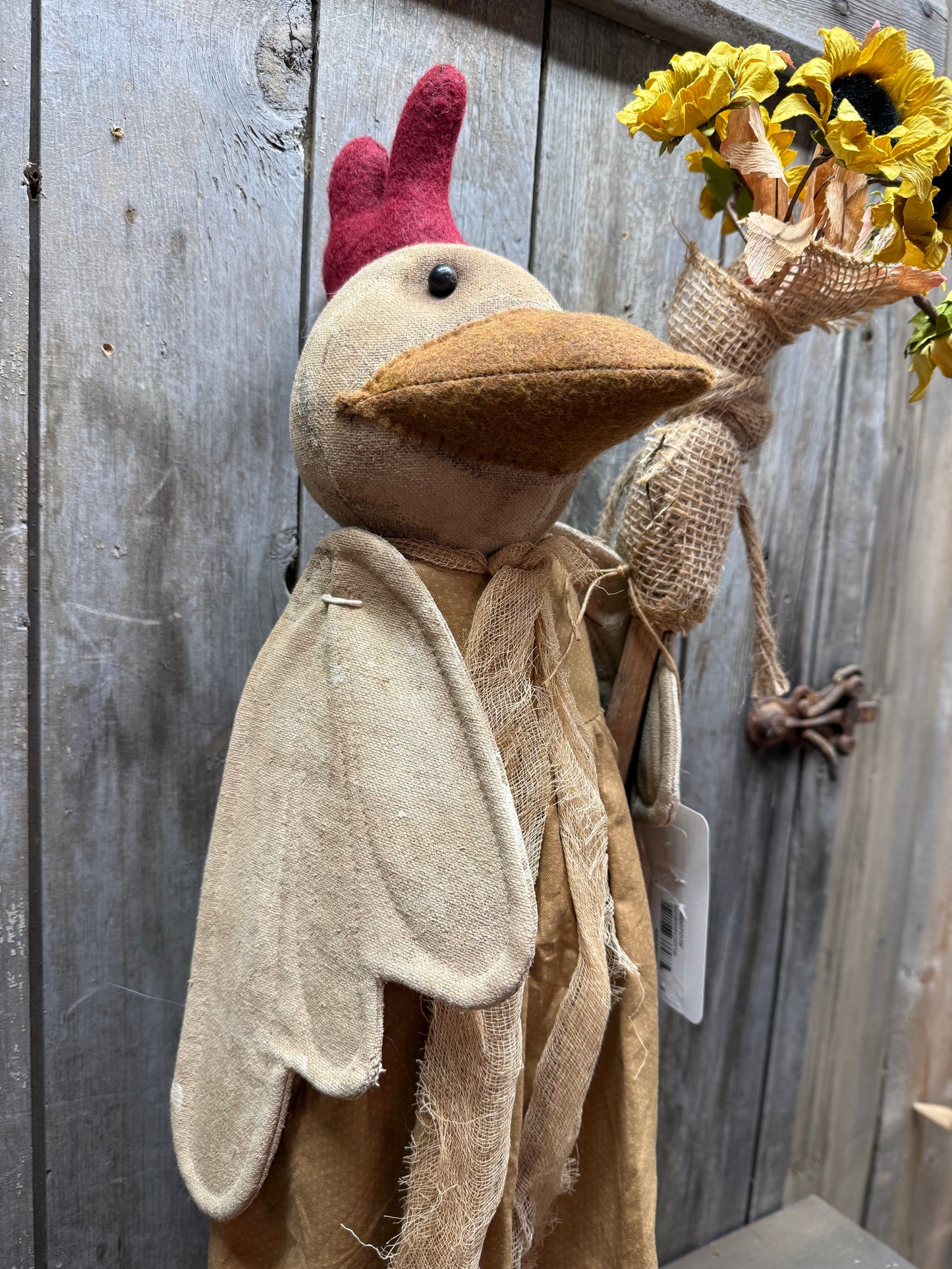 Chicken, 25", DAPHNE