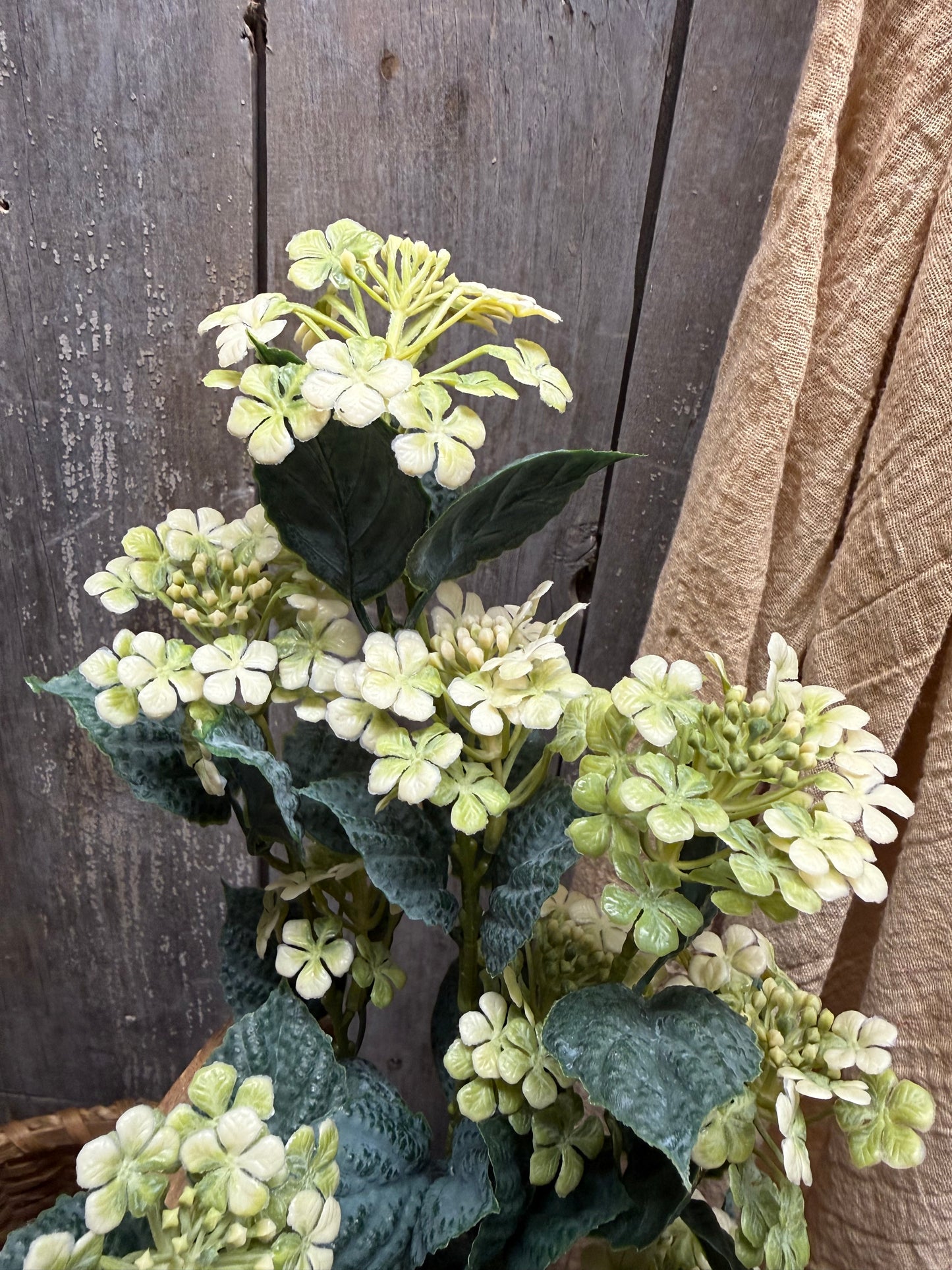 Bush, 21", FLOWER FIELDS
