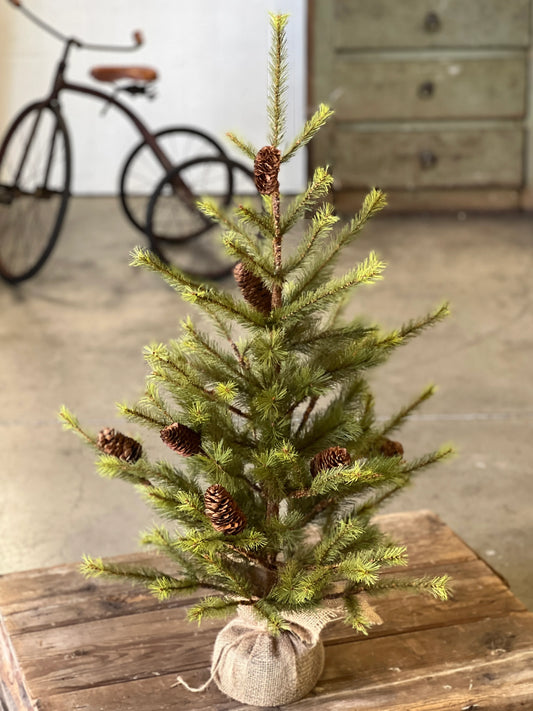 Tree, 3', CARIBOU RIDGE