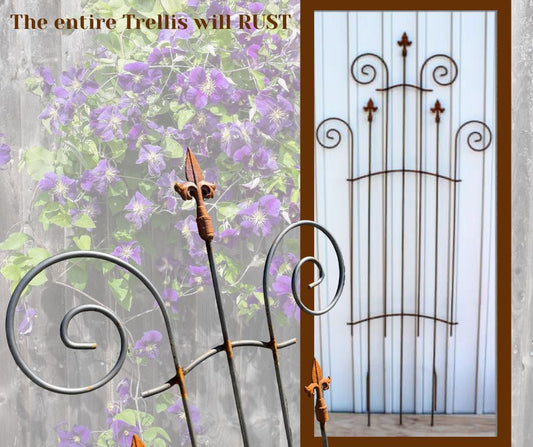 TRELLIS, Wrought Iron, LOCAL PICK UP ONLY