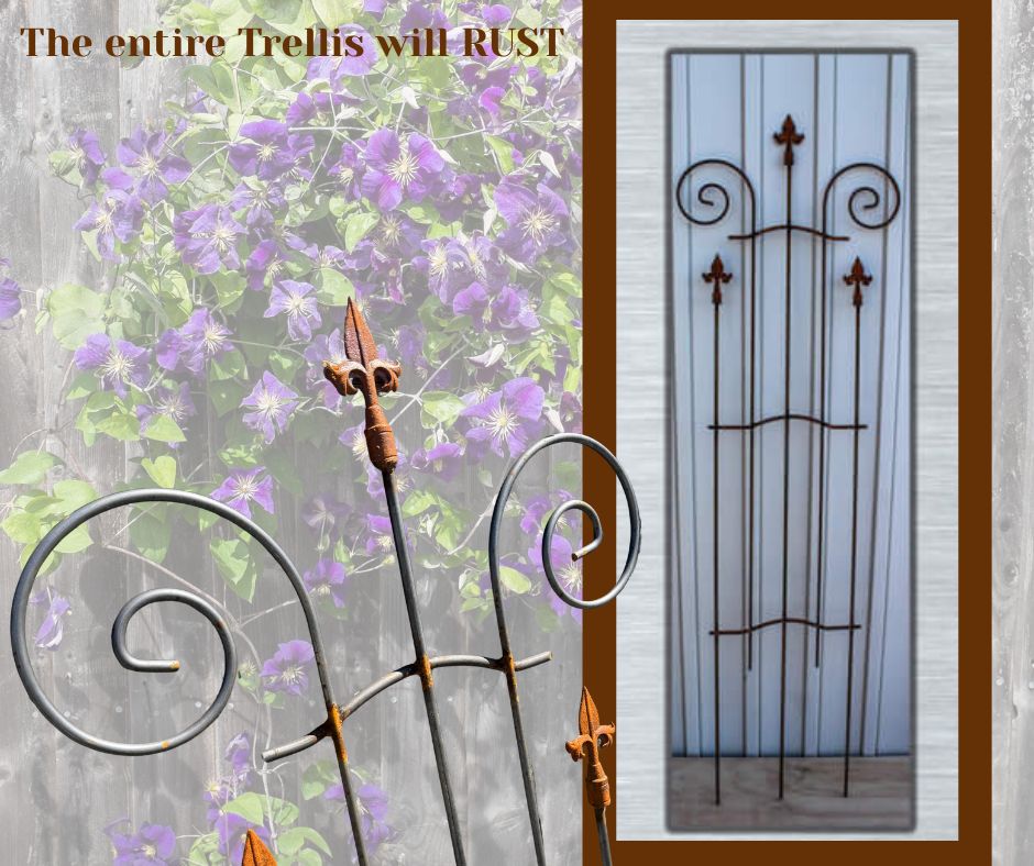 TRELLIS, Wrought Iron, LOCAL PICK UP ONLY