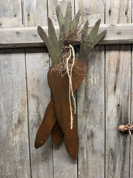 CARROTS, 26", Grungy