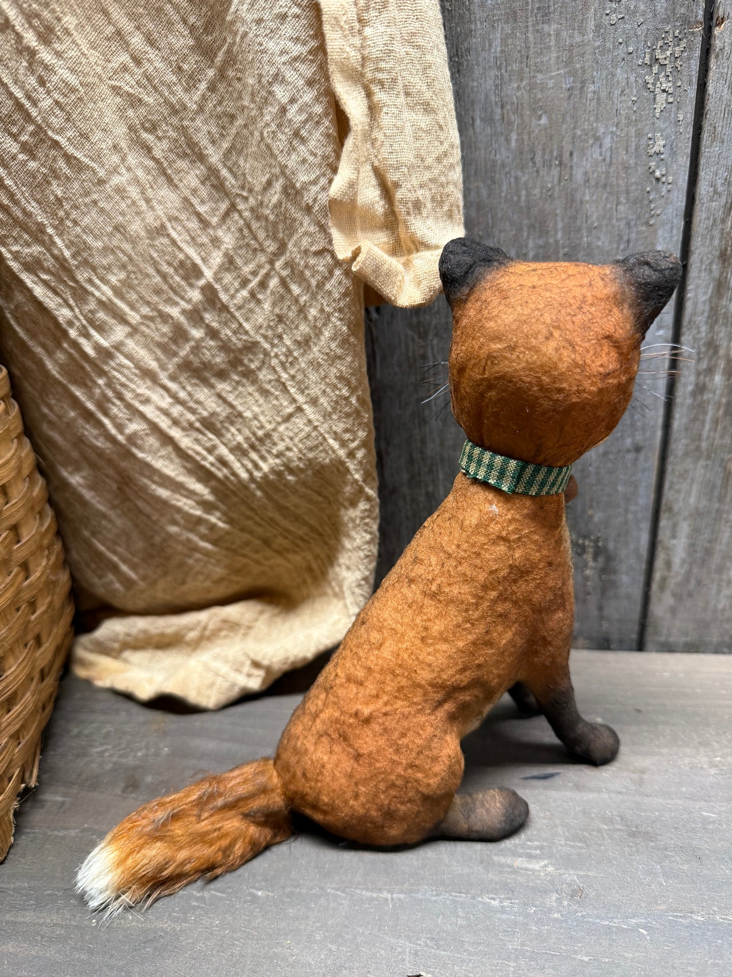 PIPPY FOX, Sitting