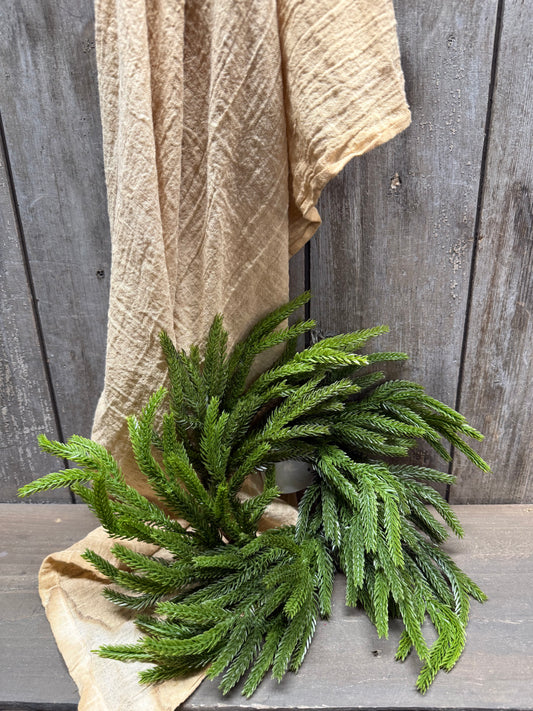 Candle Ring, 12", NORFOLK PINE