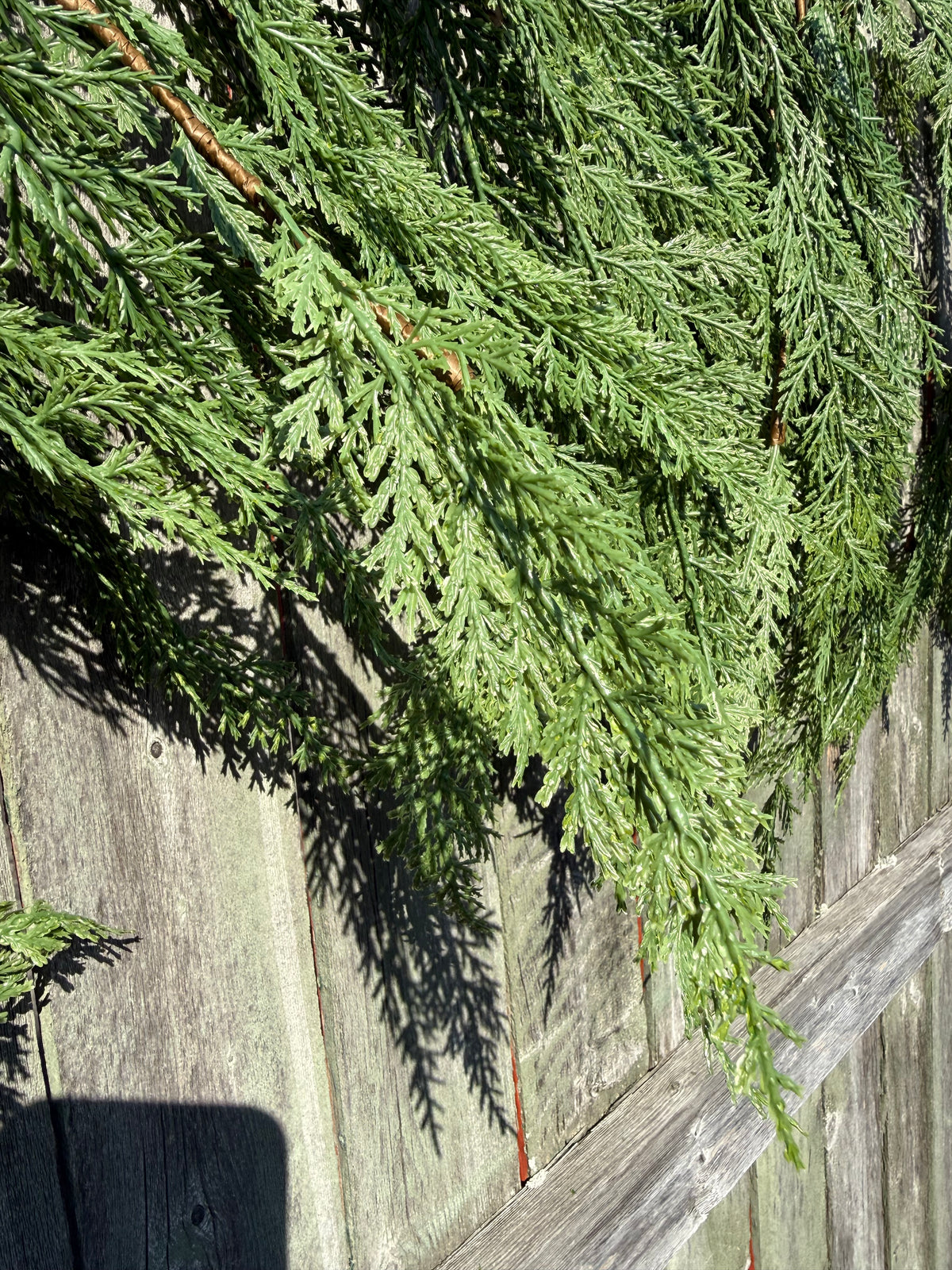 Mantel Garland, 6', CEDAR