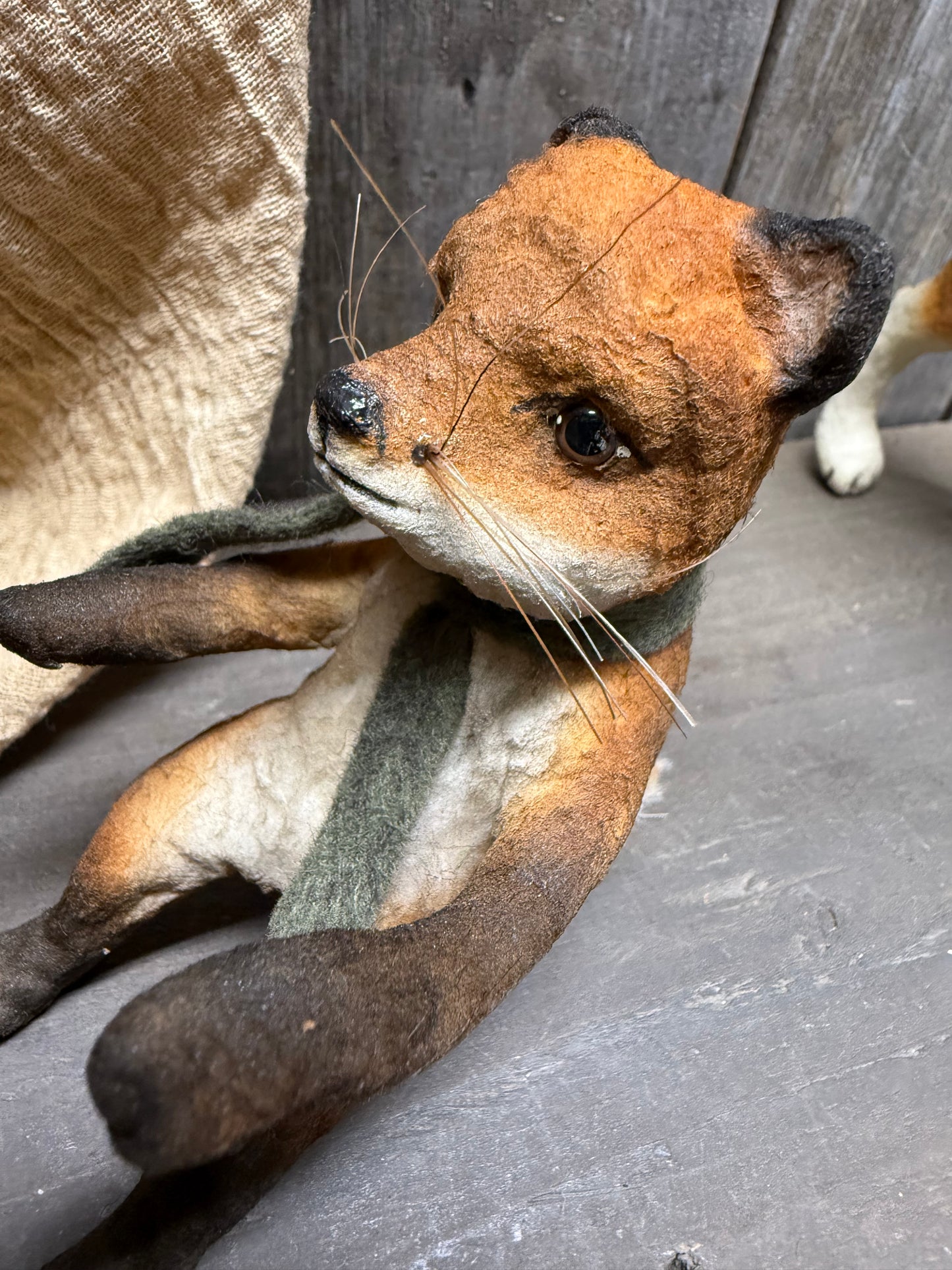 FOX & HOUND