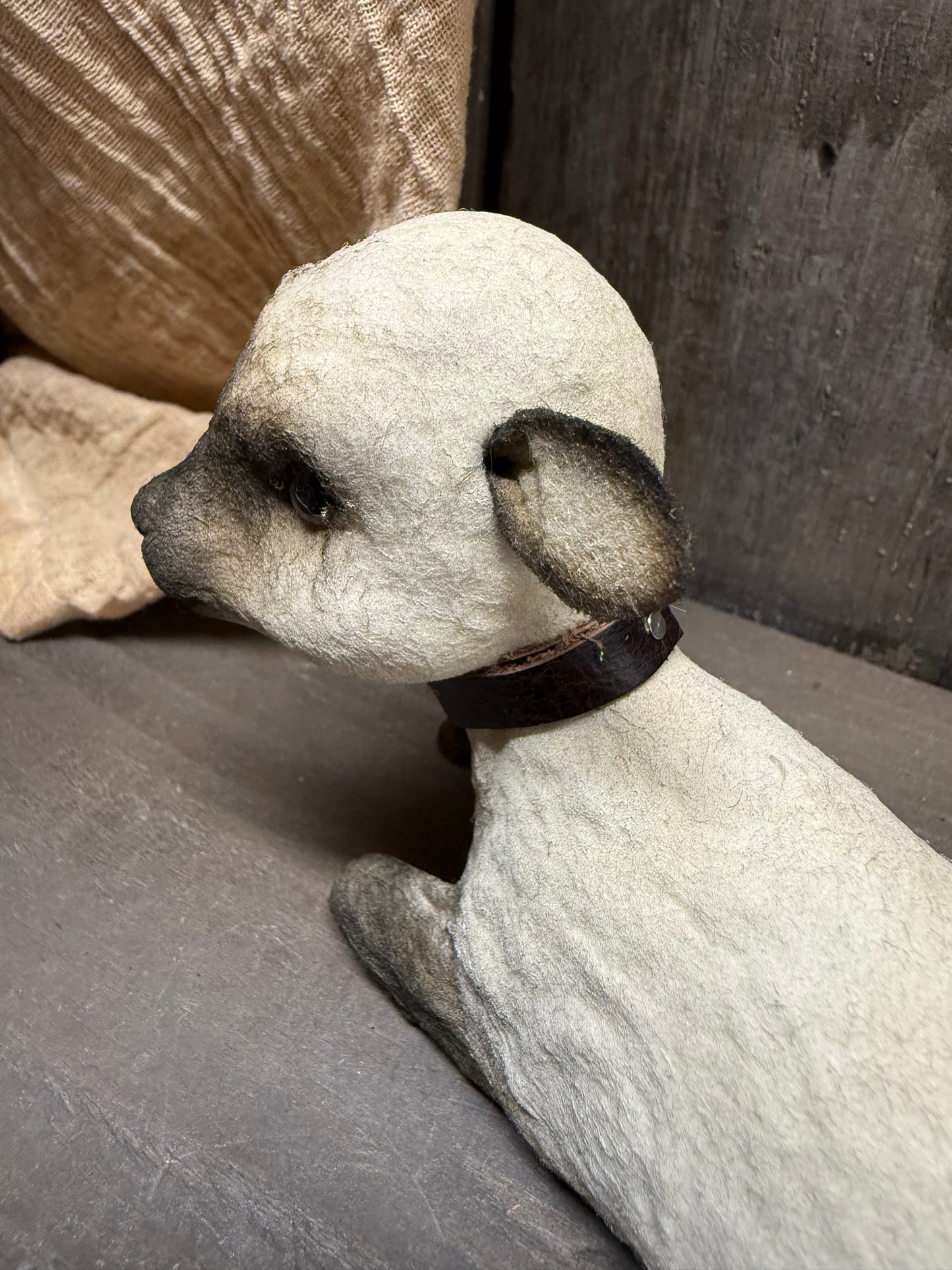 LAMB, Laying