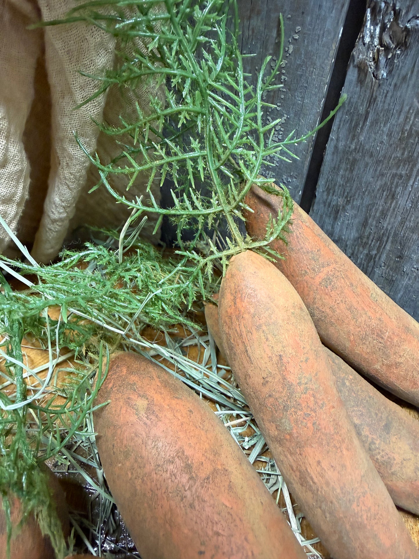 Carrot, Painted Gourd, FRESH DUG & DIRTY