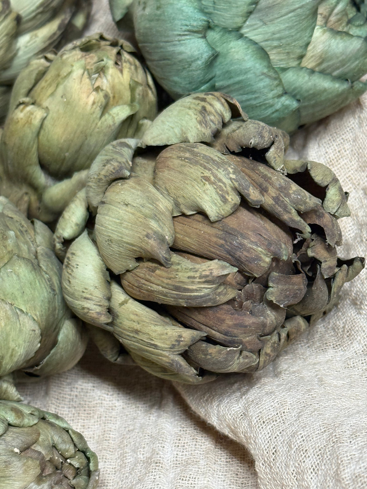 ARTICHOKE, 2 OUNCE