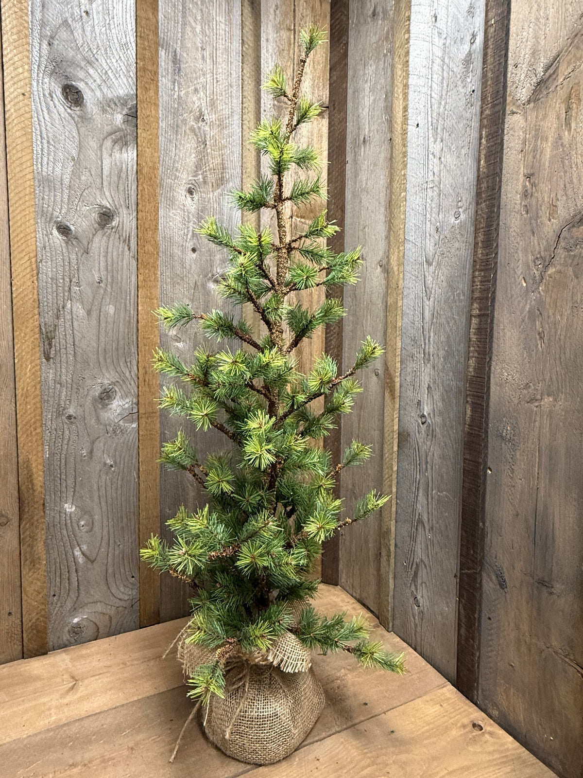 Tree, VERY SLIM TETON PINE