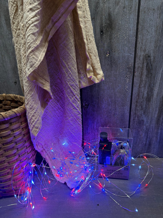 Wire Lights, 100 Bulb, TIMER, PATRIOTIC
