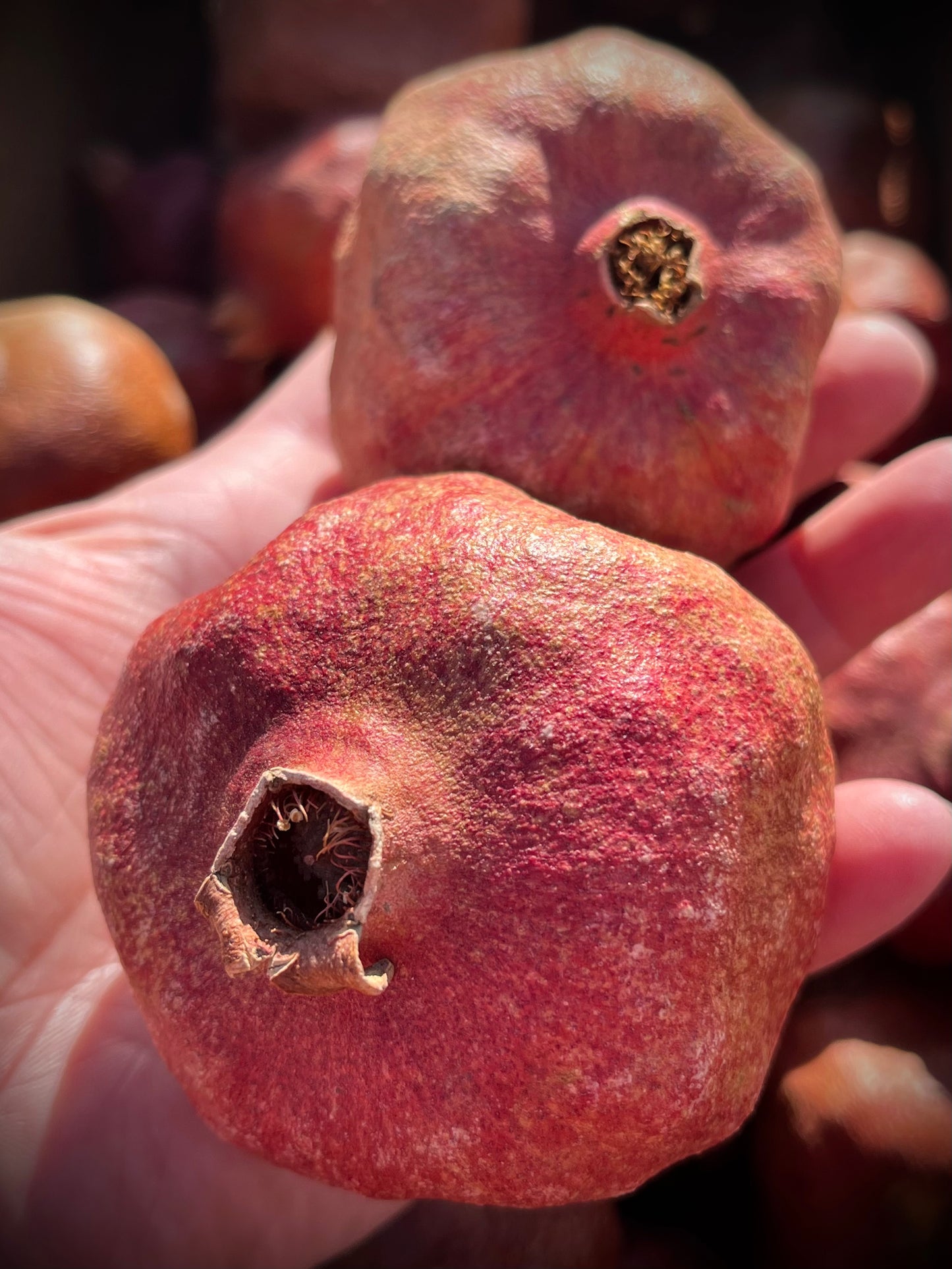 POMEGRANATES, Package/6, Dried, Natural