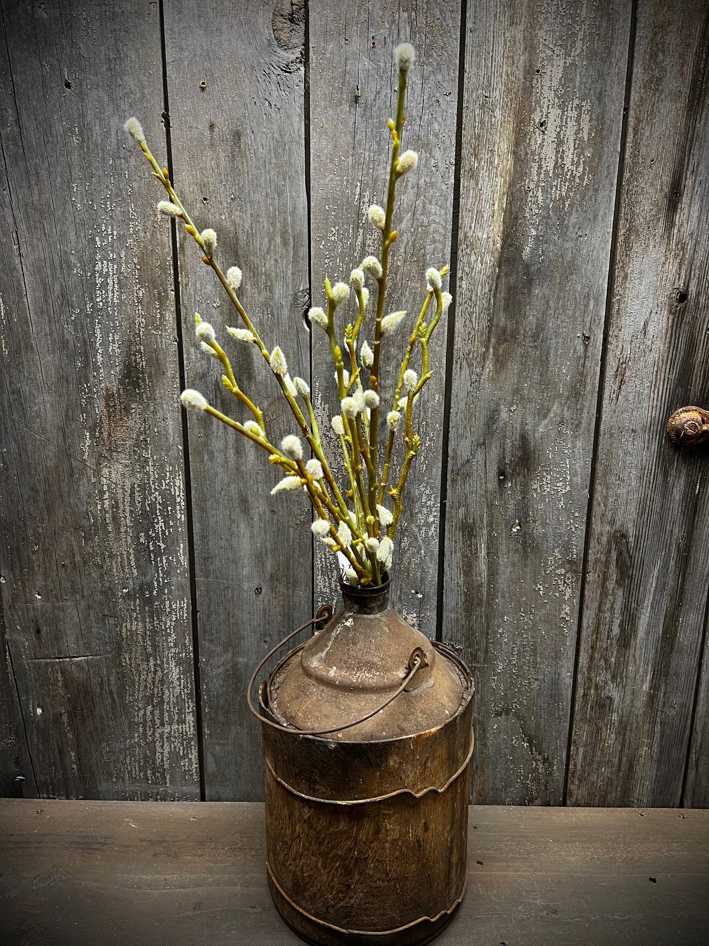 Bouquet, PUSSY WILLOW