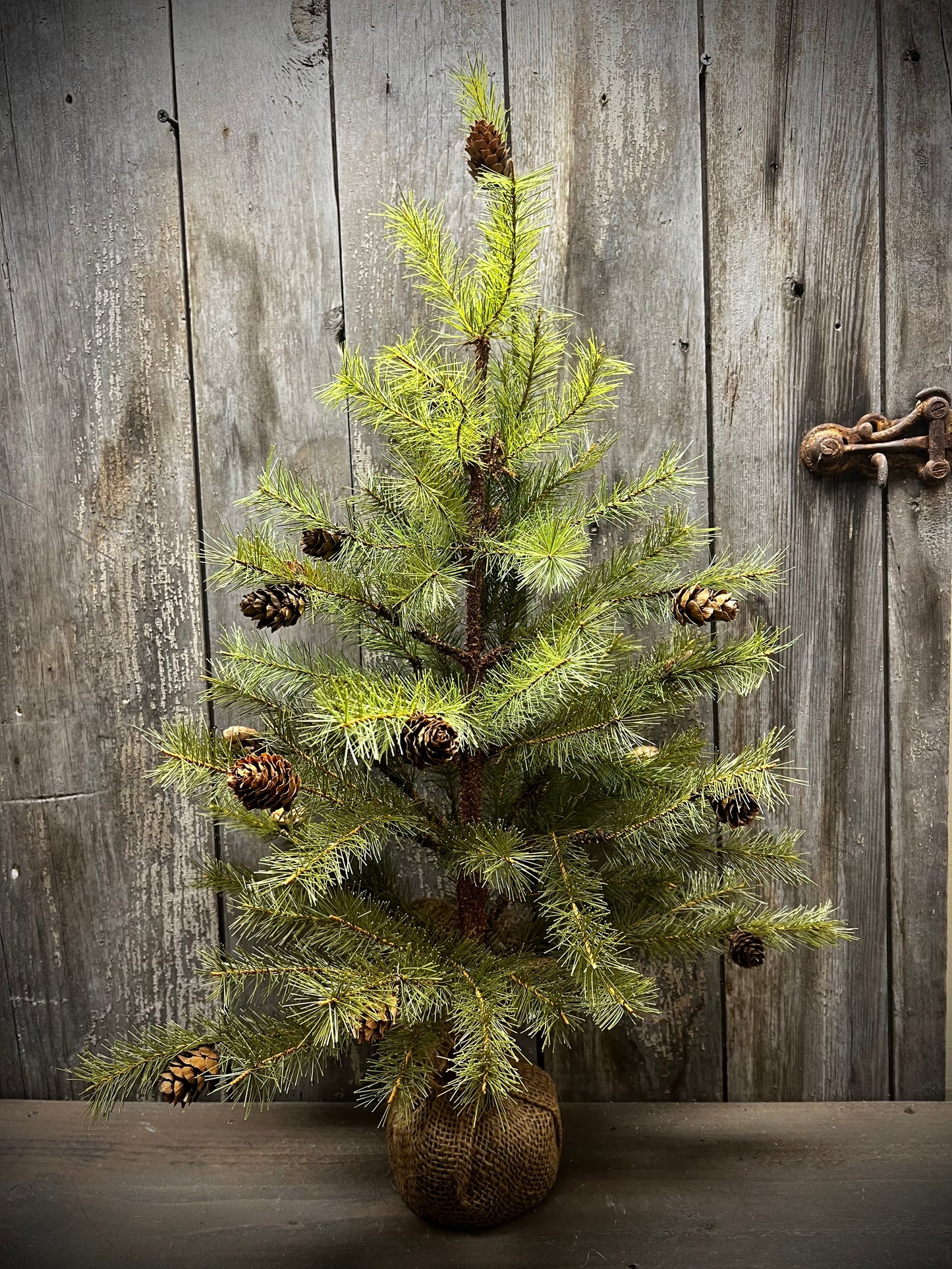 Tree, 24", GREENUP PINE W/ CONES