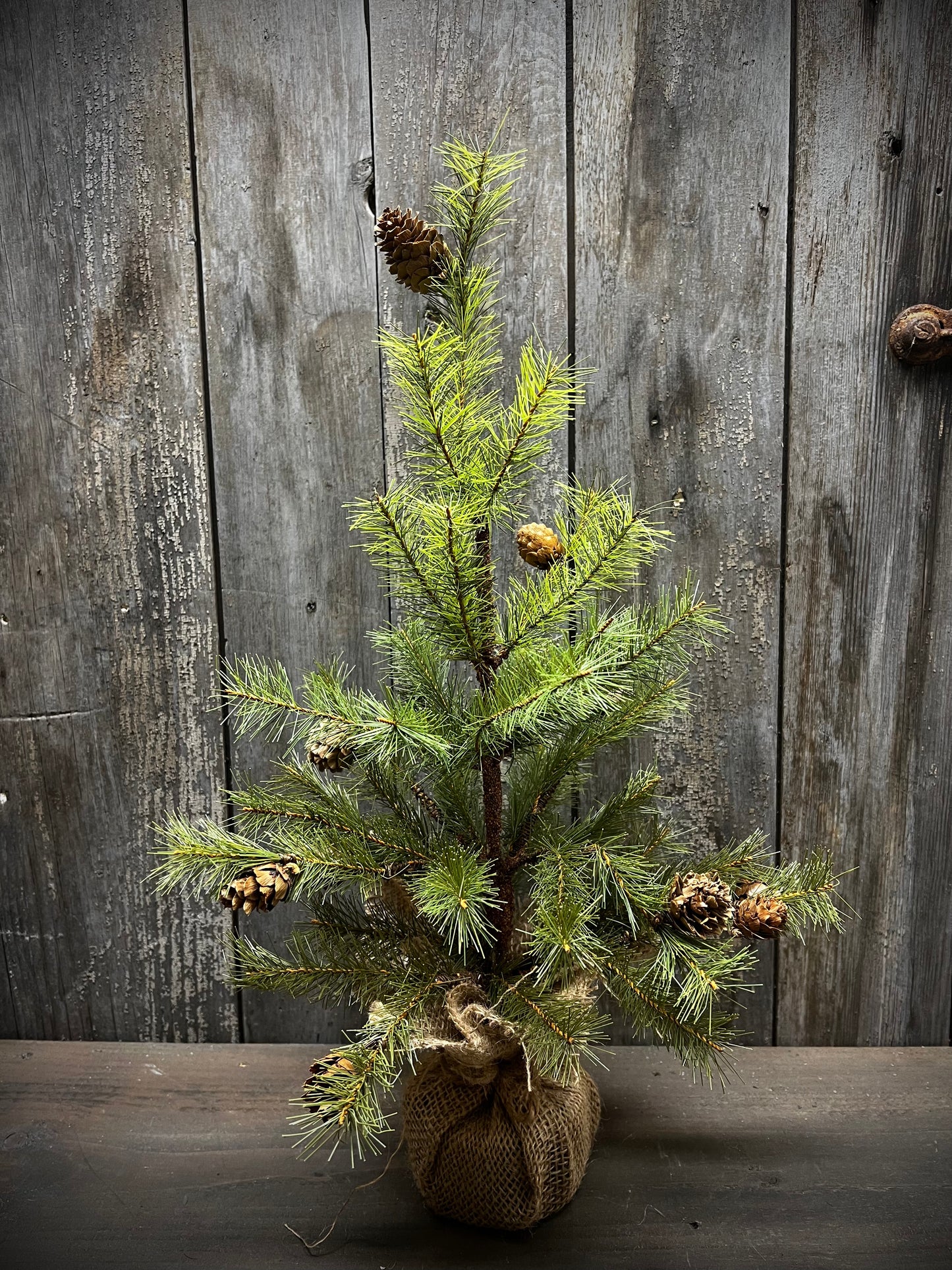 Tree, 18", GREENUP PINE W/ CONES