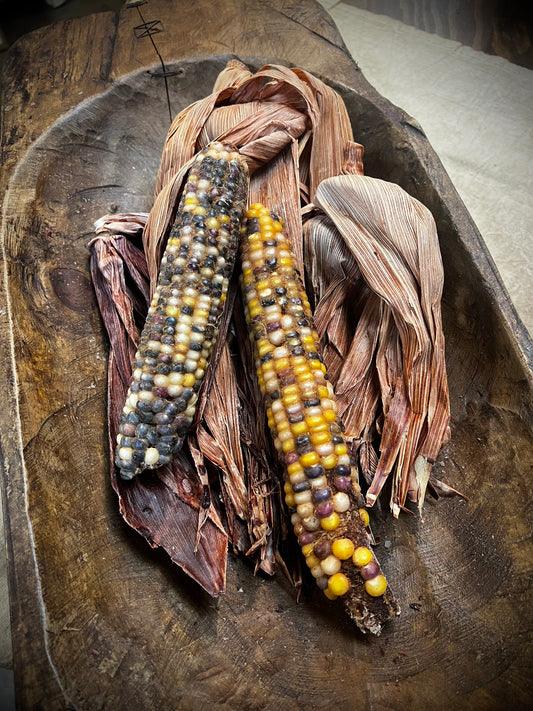 Bowl Filler, Waxed/Scented, COBS & INDIAN CORN