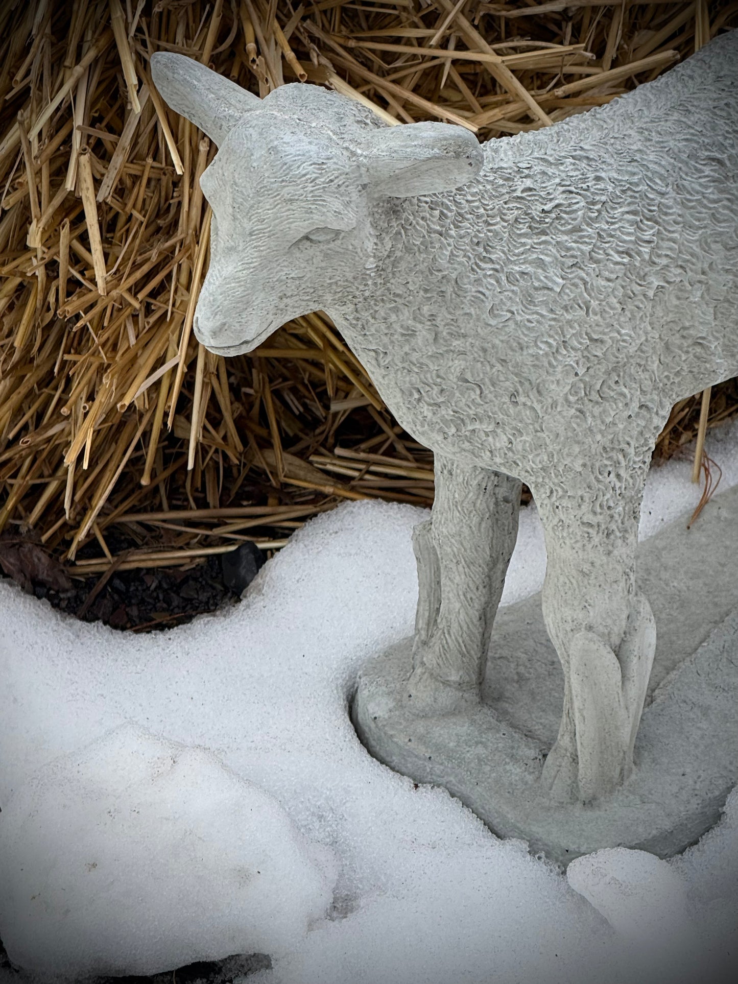 STANDING LAMB, Concrete….NO SHIPPING