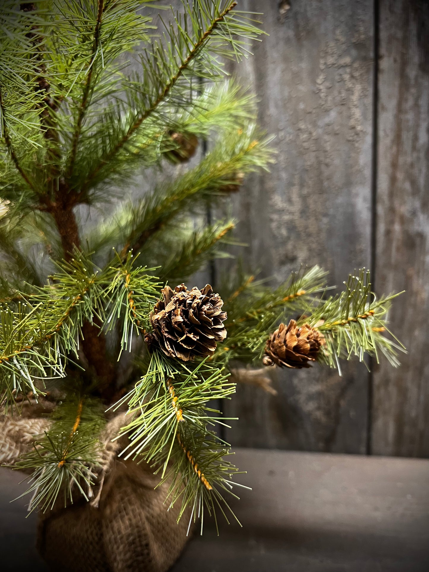 Tree, 18", GREENUP PINE W/ CONES