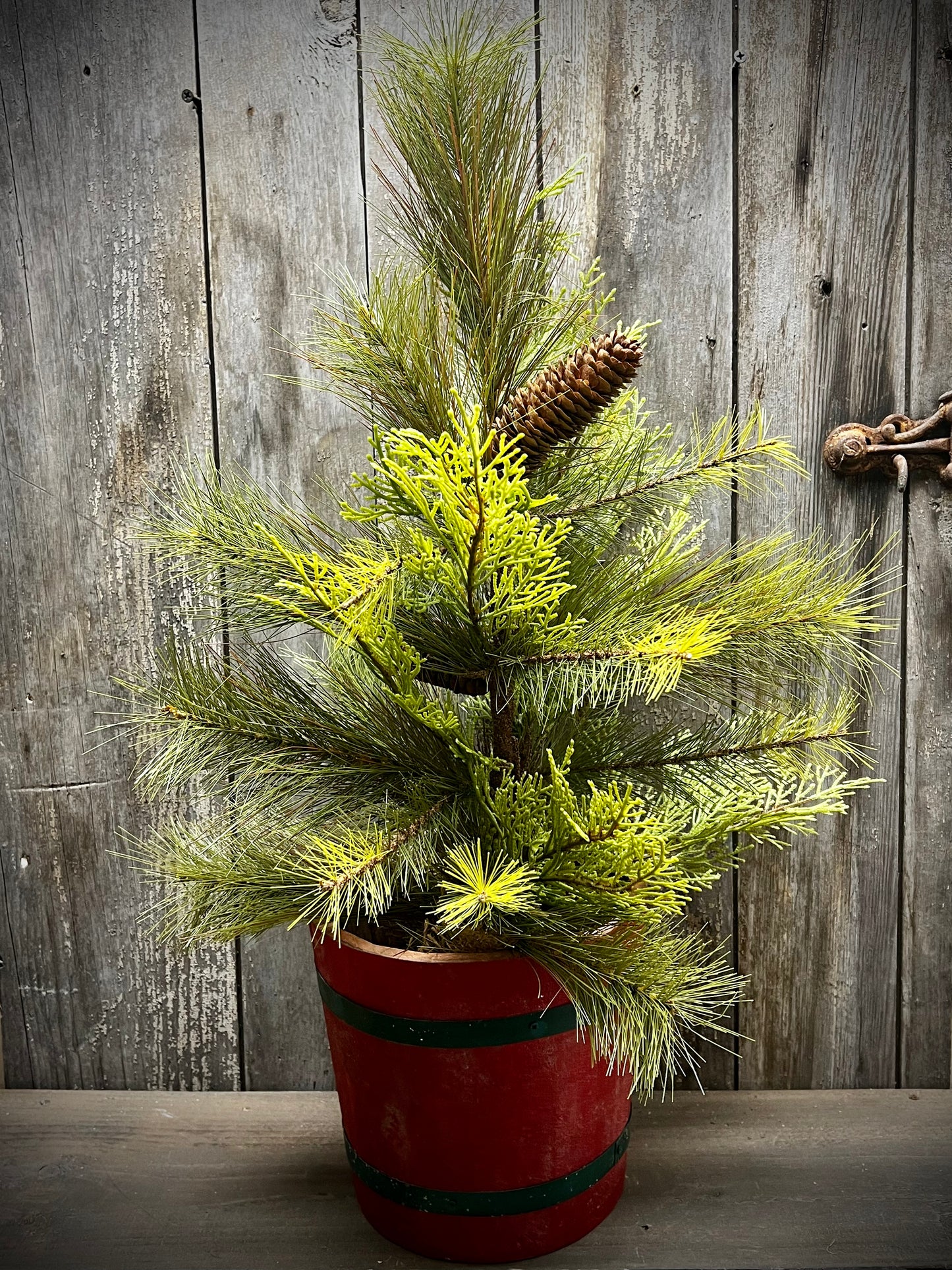 Tree, 24", STONE PINE HEMLOCK