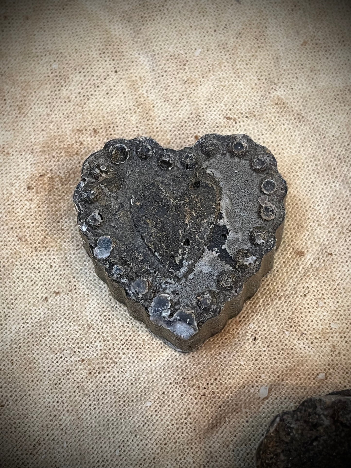 Bowl Filler, Blackened Beeswax,  ASSORTED HEART