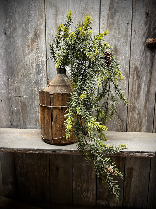 Draping  Bush, 34”, PINE W/CONES