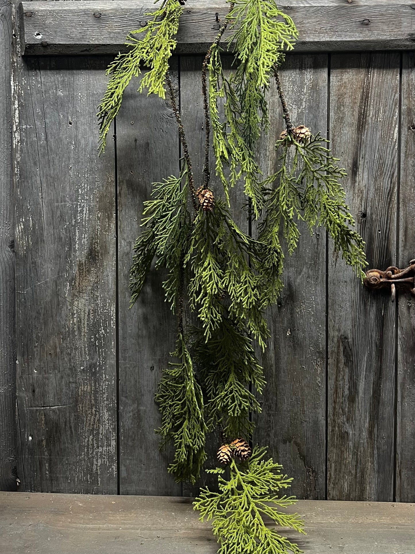 North Rim Hemlock, 48", VINE