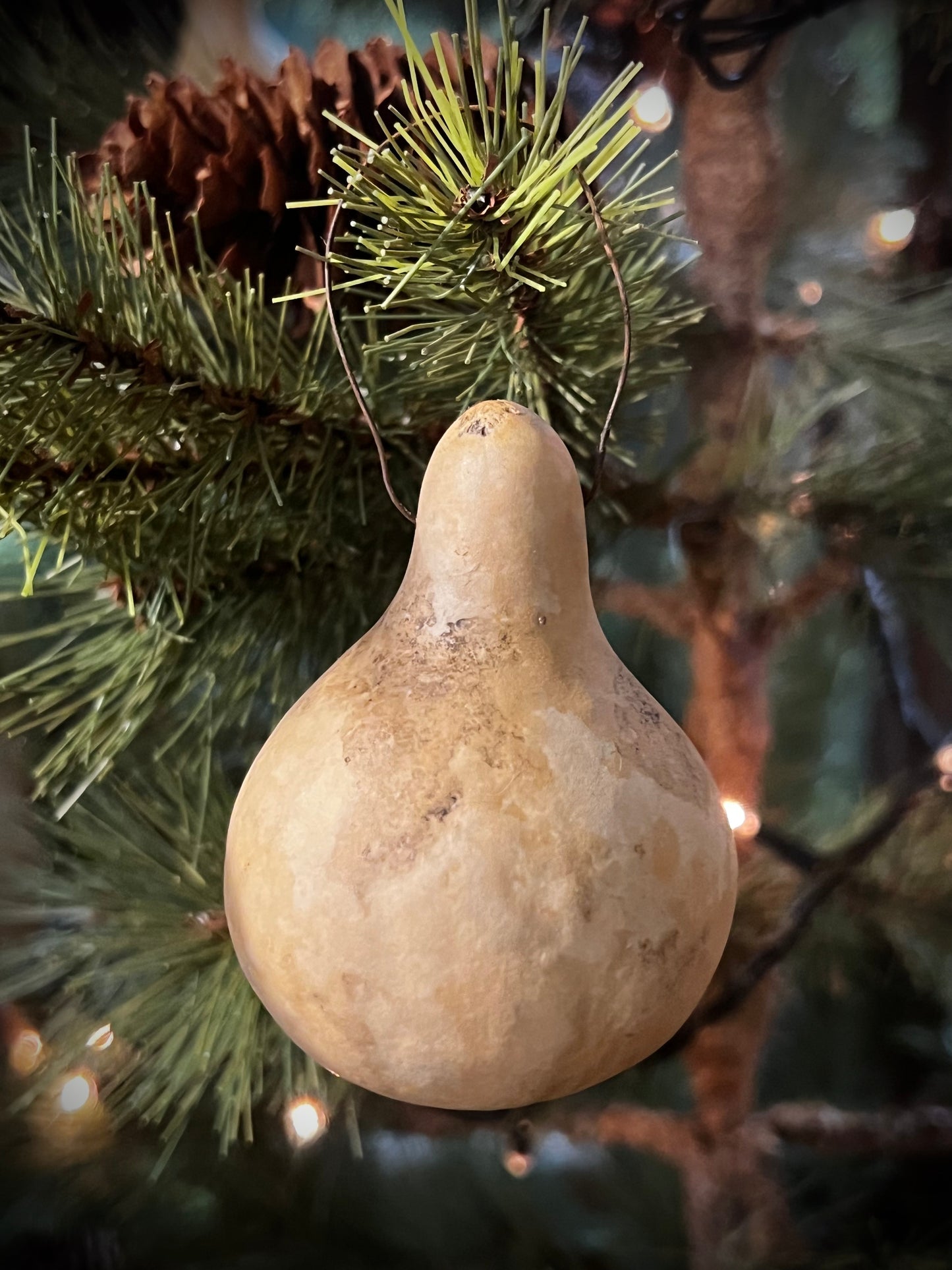 Gourd Ornaments, Assorted Spinner, MEDIUM