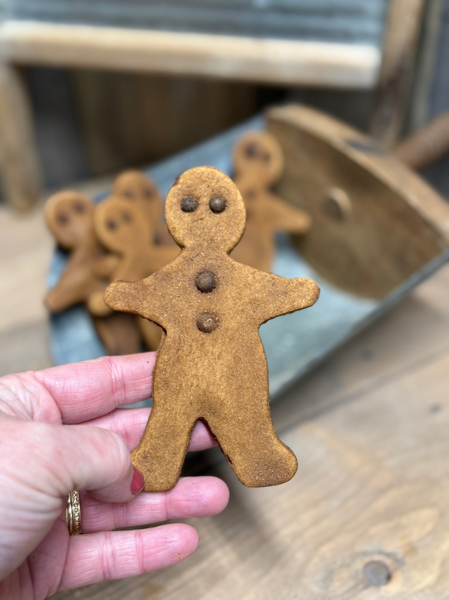 GINGERBREAD MEN, Set/5