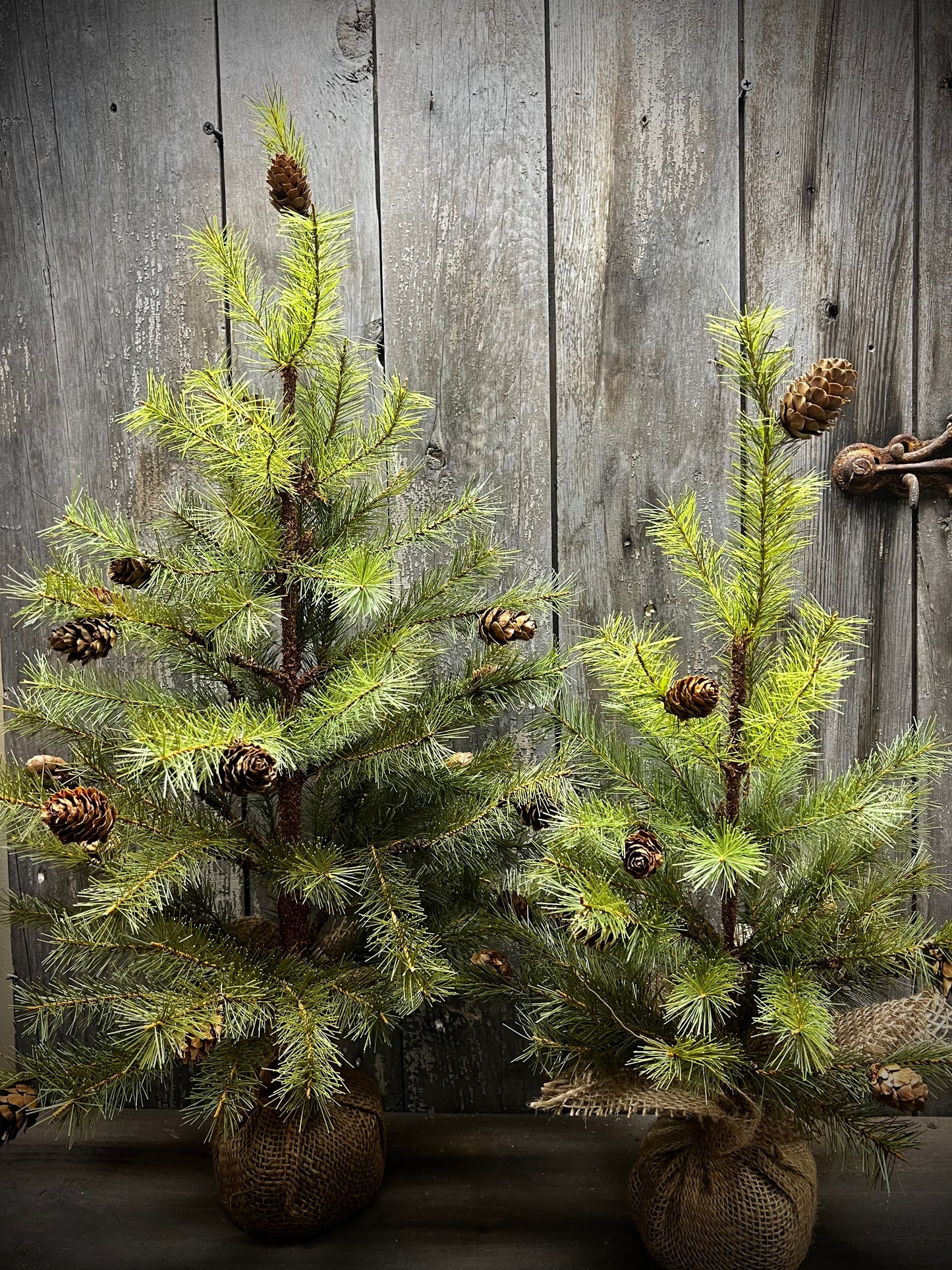 Tree, 24", GREENUP PINE W/ CONES