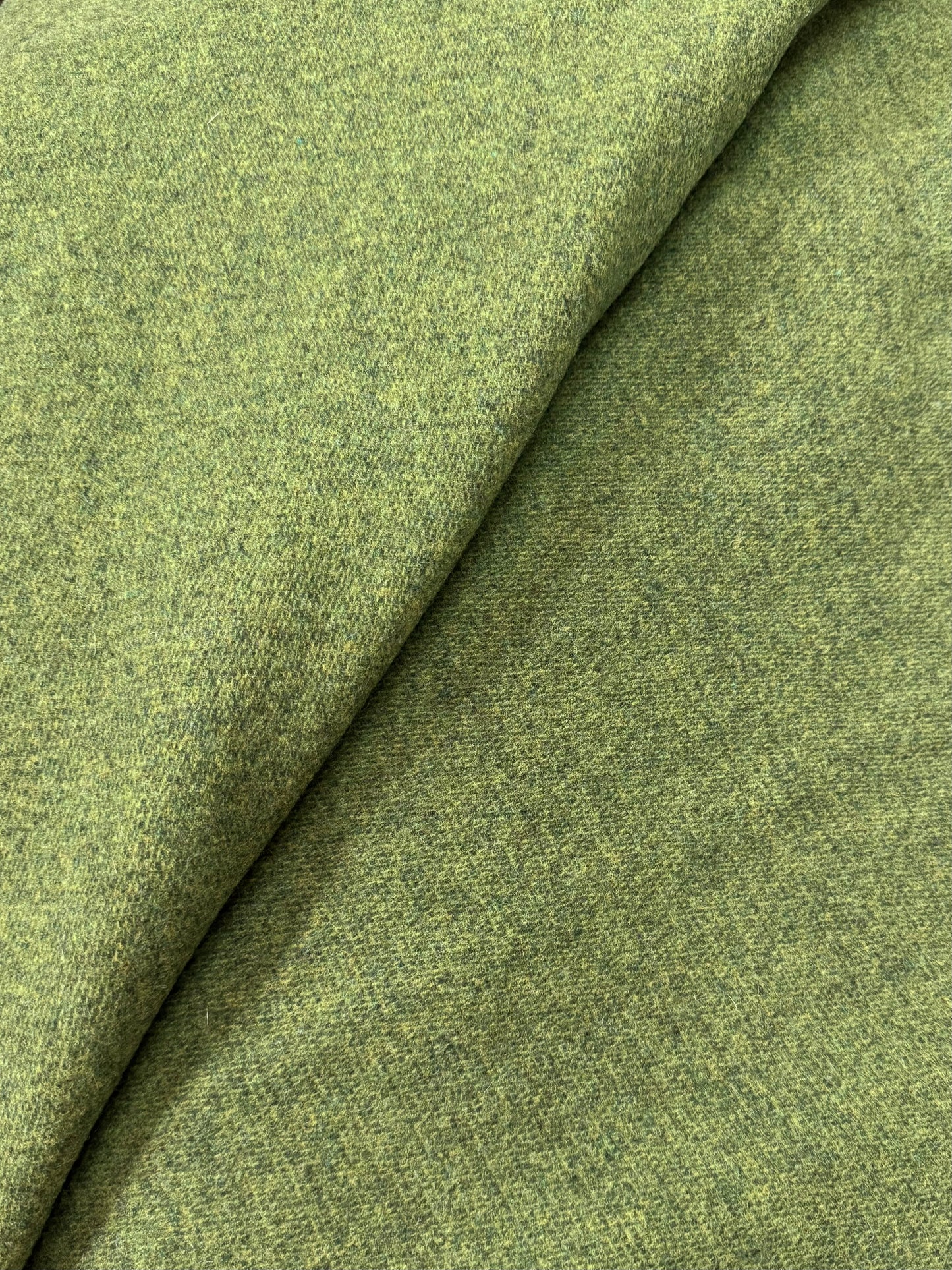 GREEN ZINGER, Wool