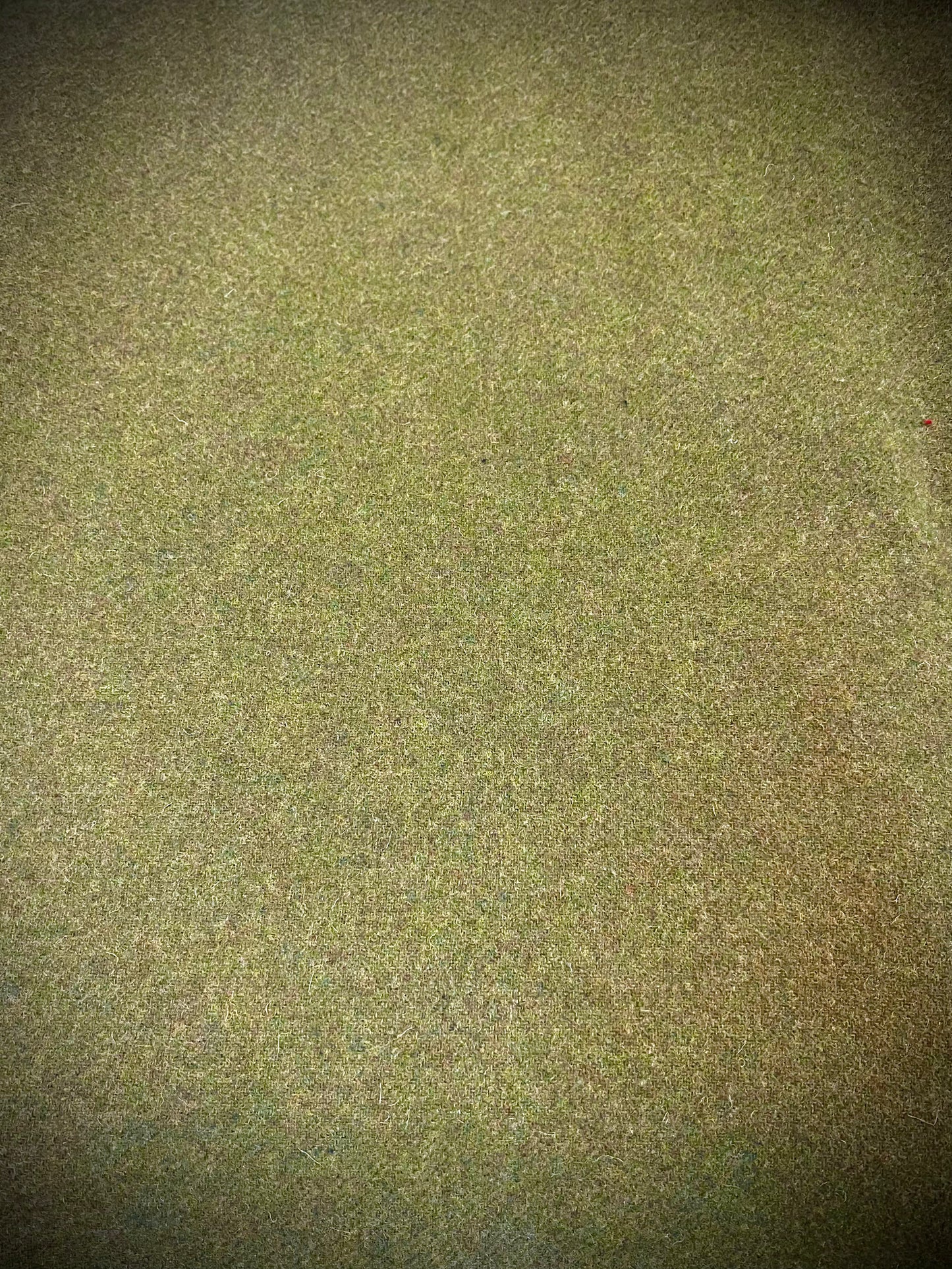 HERBAL ESSENCE, Wool