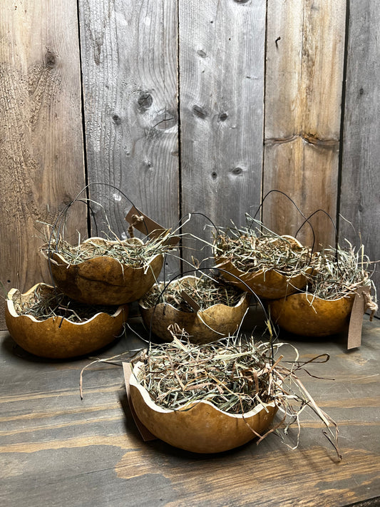 Gourd Basket, 8", ASSORTED