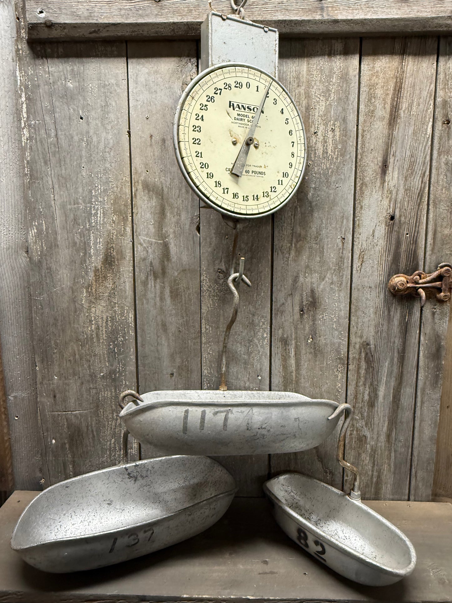 SCALE PANS, Assorted