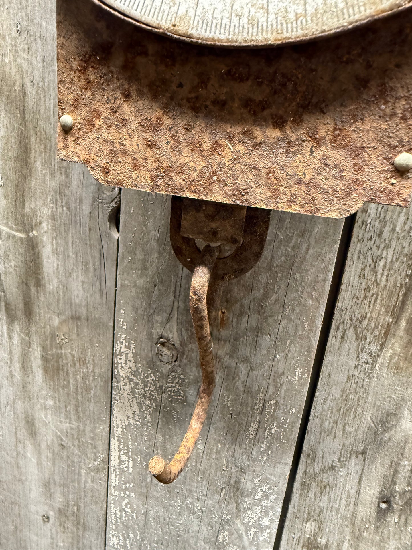 SCALE, CHATILLION, Rusty