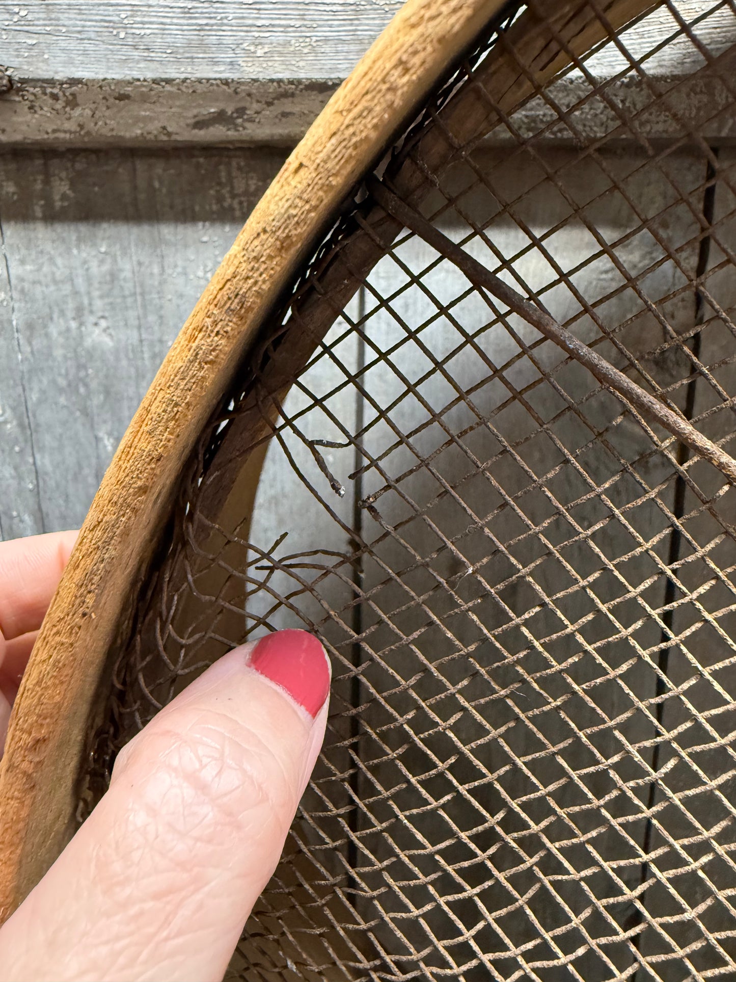 Seed/Grain Sieve, 17", WELL LOVED