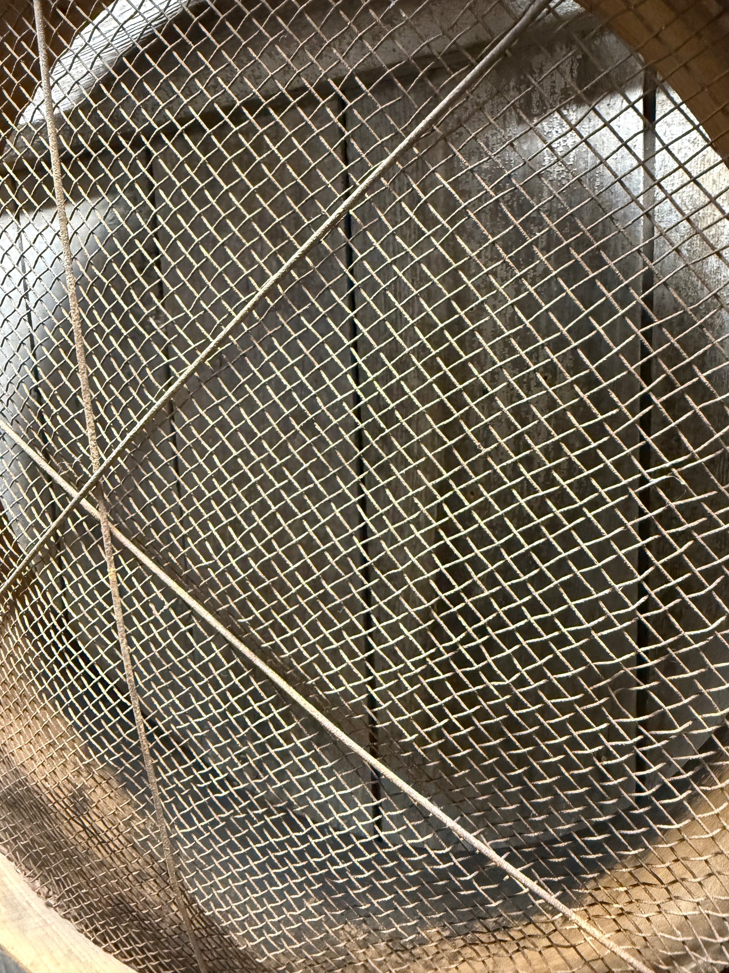 Seed/Grain Sieve, 17", WELL LOVED