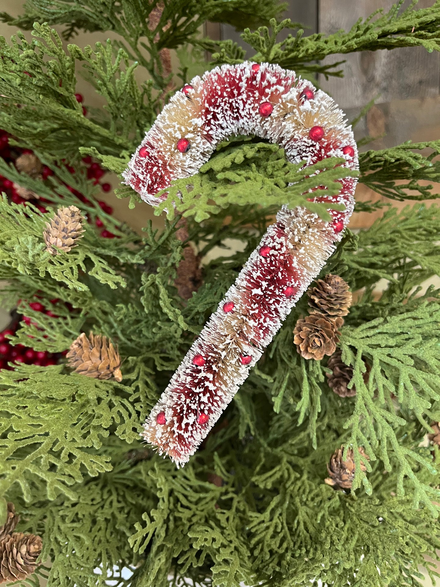 Candy Cane, 6.5", BRISTLE