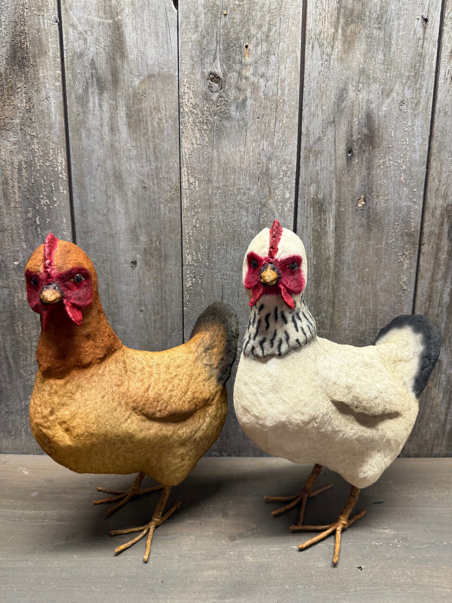 HEN, Large, Brown or White